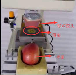 看了同行，才知道移印硅膠在水果上也有應用